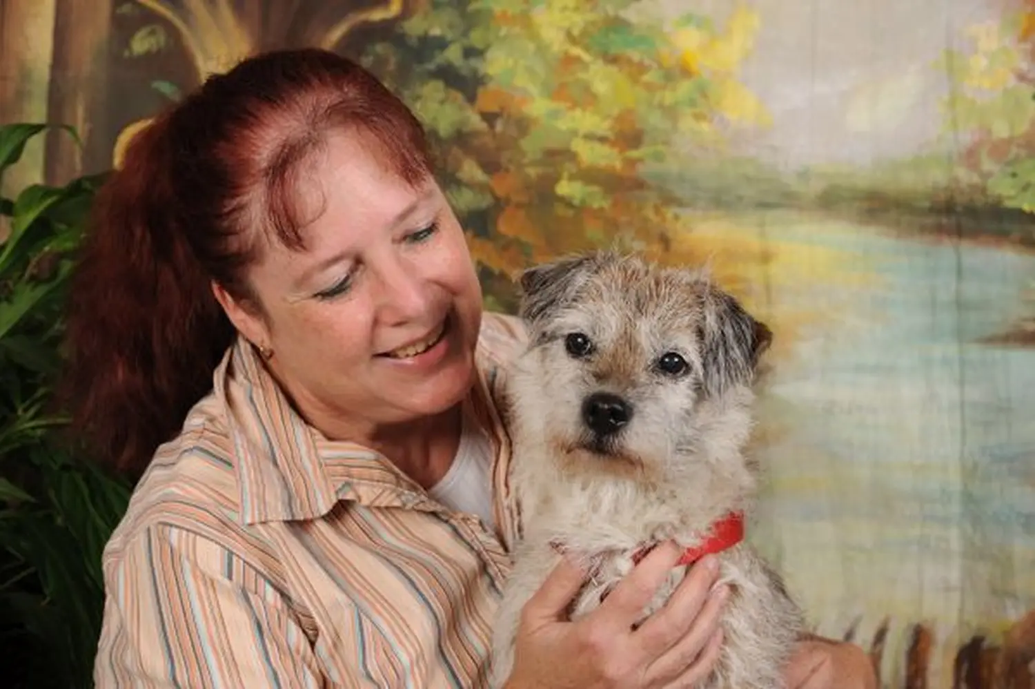 Tiere-Fotoshooting von Foto Arian